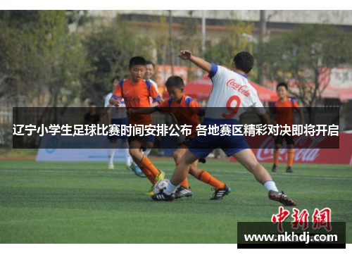 辽宁小学生足球比赛时间安排公布 各地赛区精彩对决即将开启